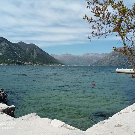 Apartman Milena 1 Kotor Dış mekan fotoğraf