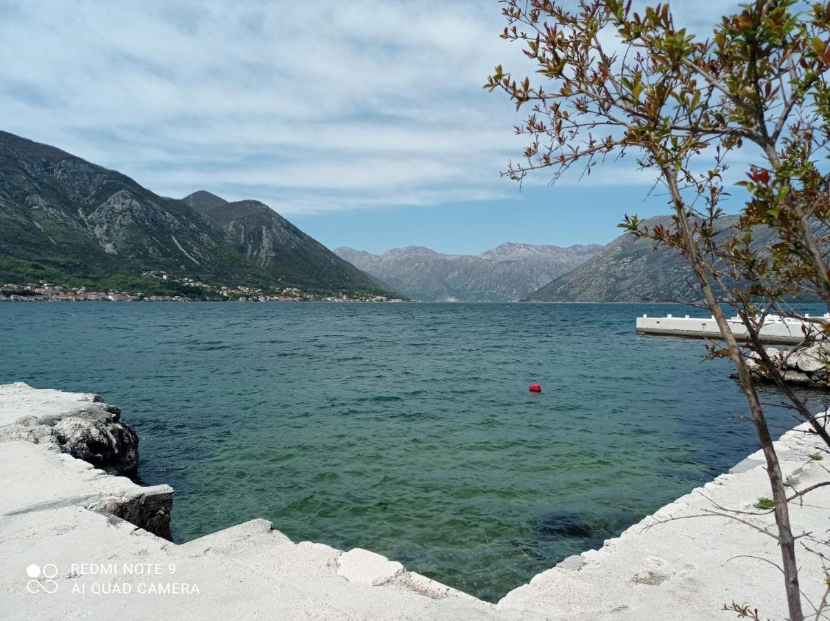 Apartman Milena 1 Kotor Dış mekan fotoğraf